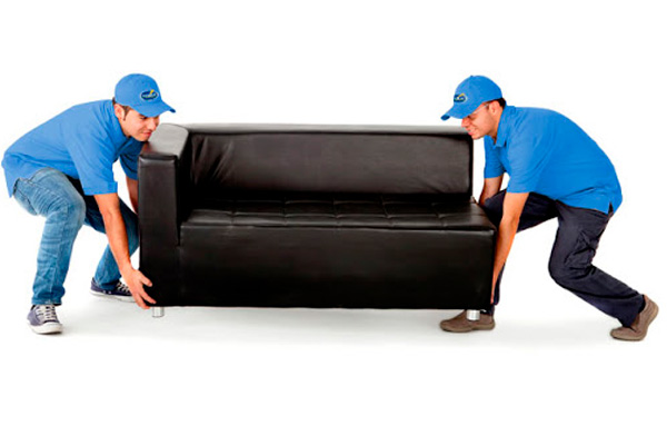 Qual é o seu sofá ideal?